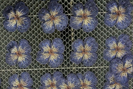 绣花-移动打标1