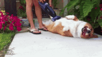 微信图片_20201222085544.gif